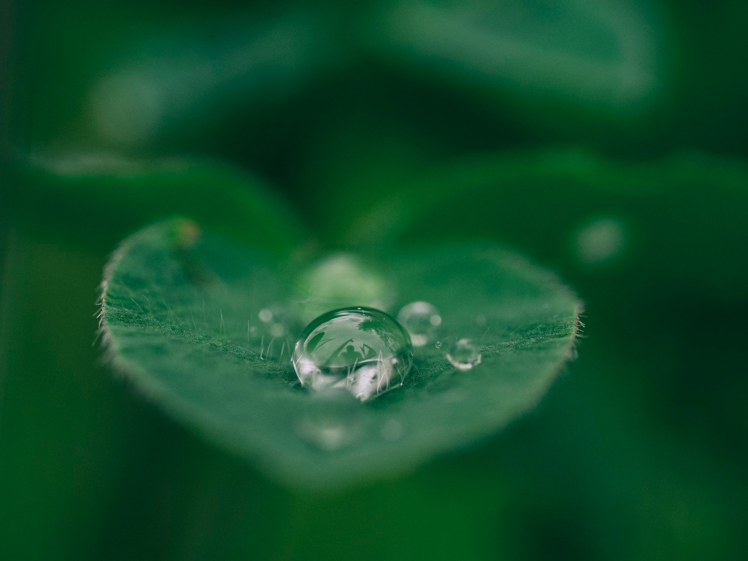 10 Survival Myths That Could Cost You Your Life