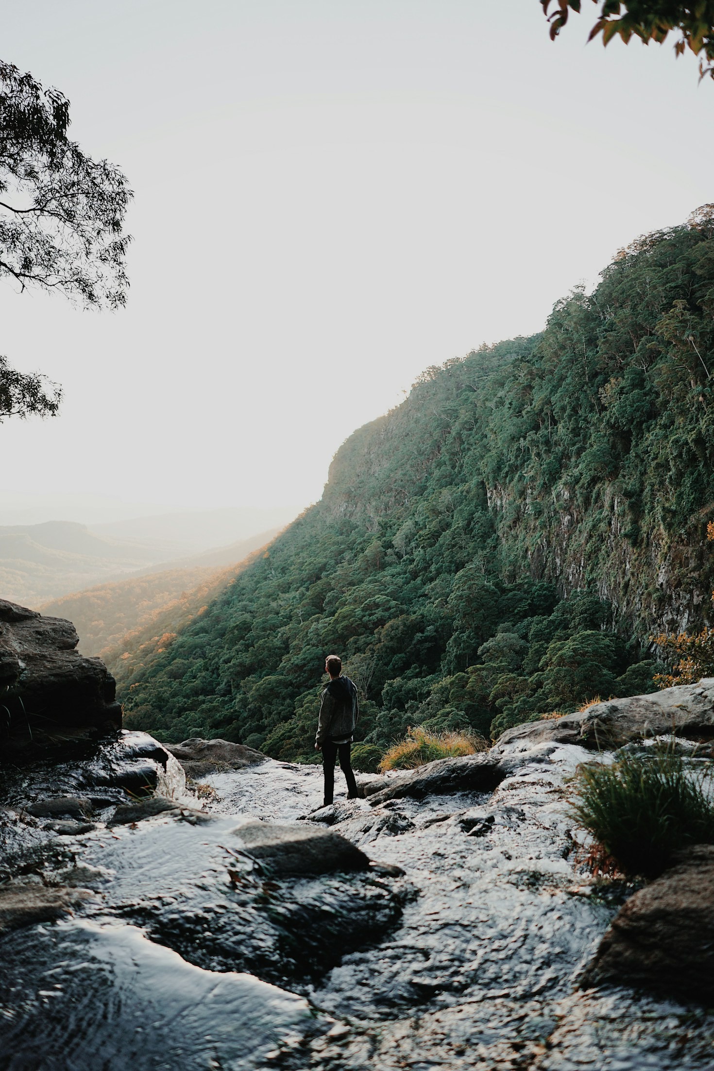 Building a Survival Mindset: Key Insights for Resilience